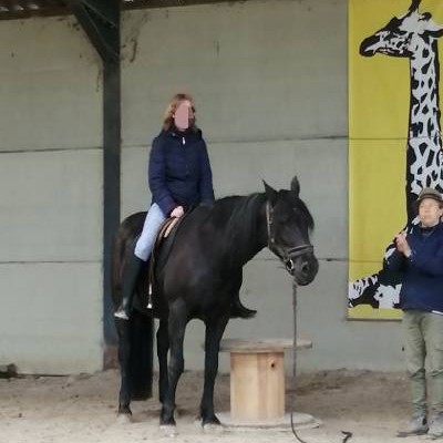 Hippothérapie